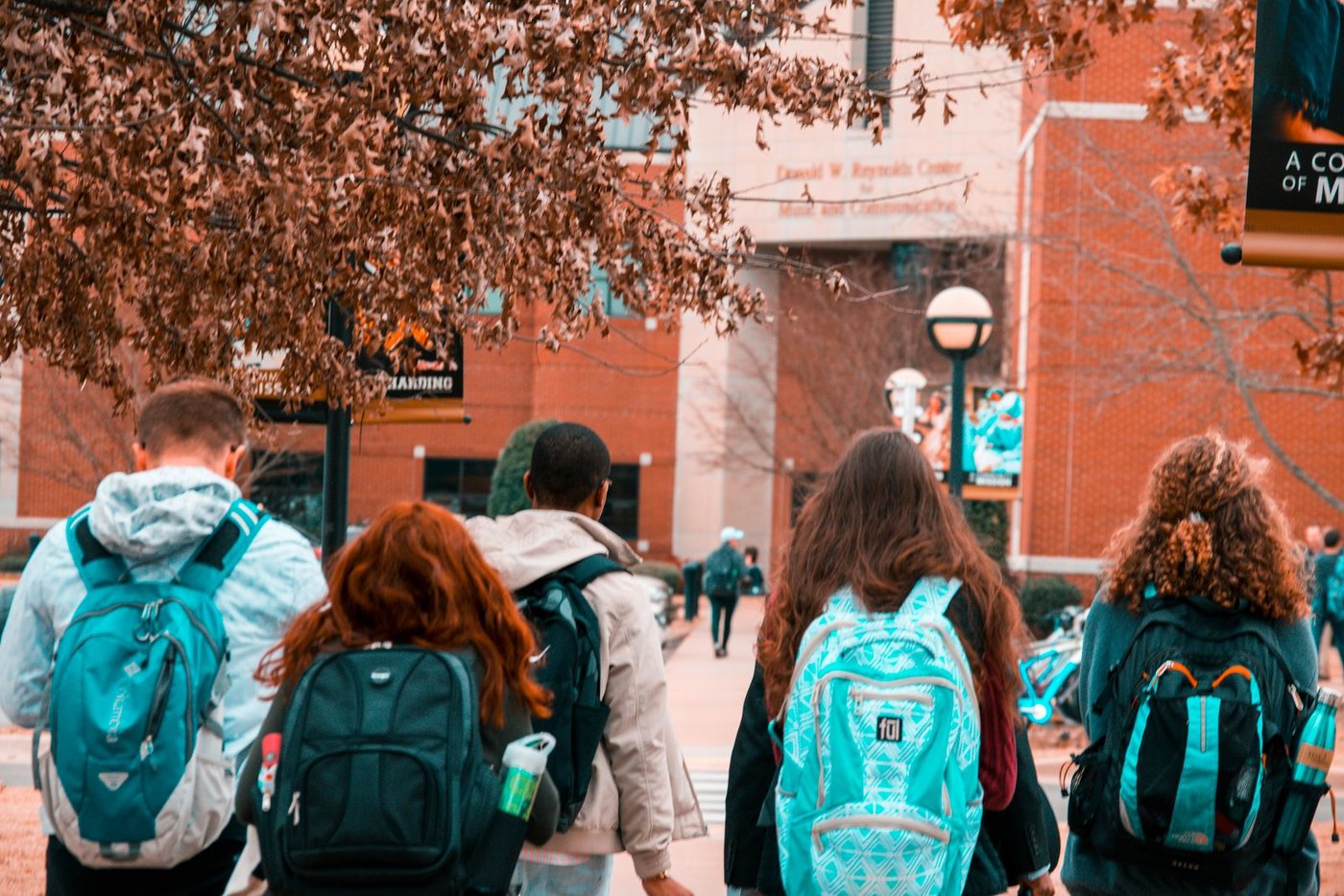 Students walking along a tree-lined campus path