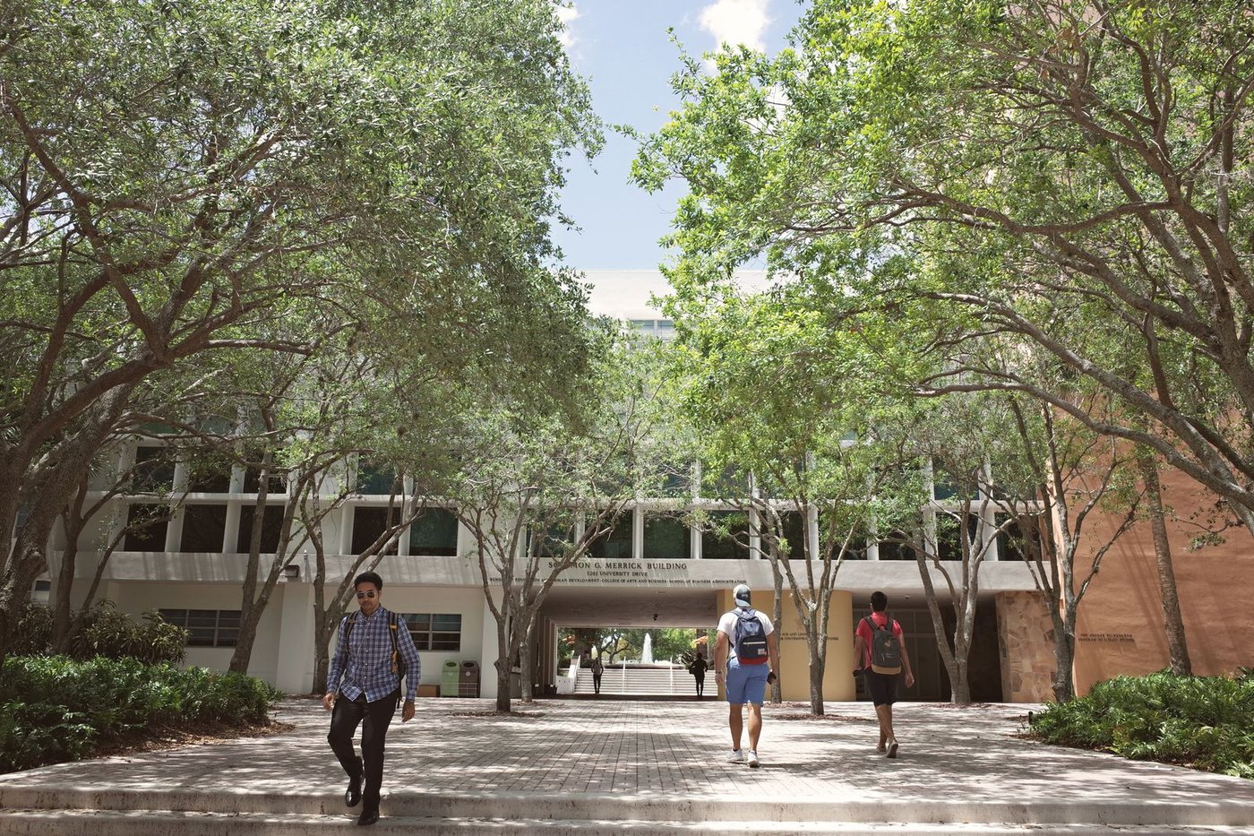 Quiet university quadrangle in the afternoon