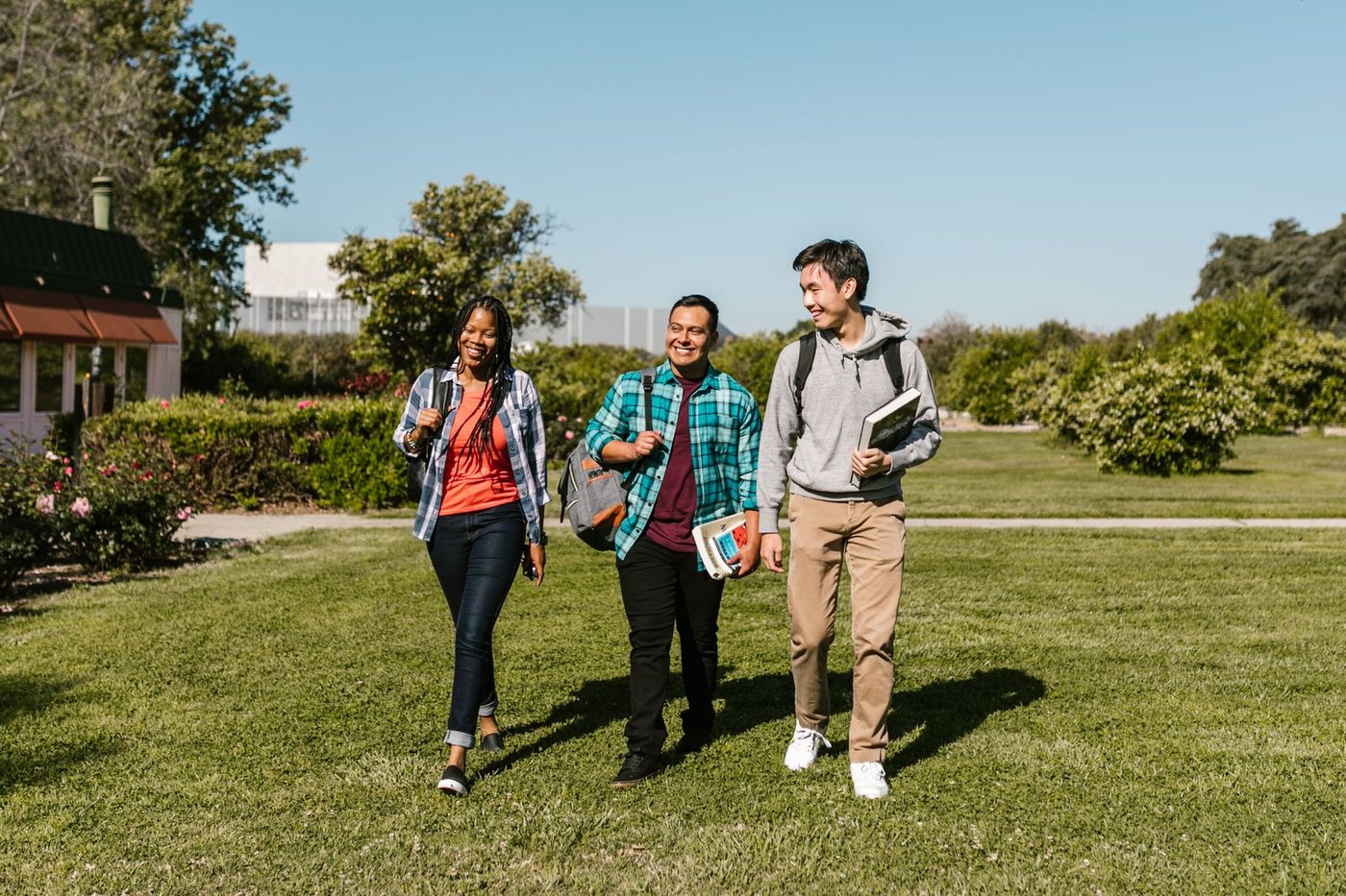 Students studying together on a campus lawn